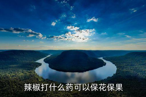  辣椒打什么藥可以保花保果