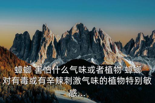 蟑螂害怕農藥嗎為什么,為什么人看到蟑螂會害怕