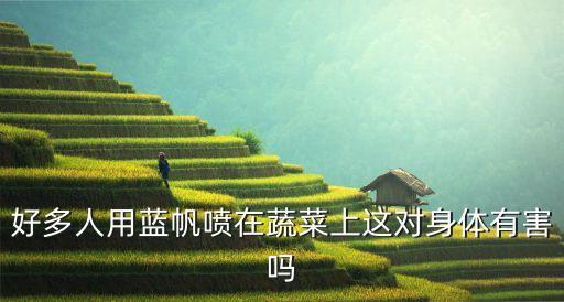 農(nóng)藥藍(lán)礬治什么病,過氧乙酸農(nóng)藥治什么病