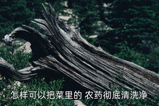 怎樣可以把菜里的 農(nóng)藥徹底清洗凈