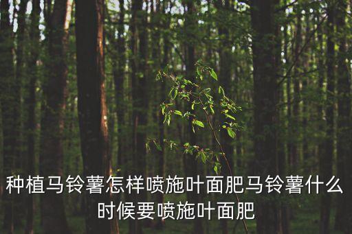 土豆什么時候打農藥好使,種土豆什么時候開始噴施農藥