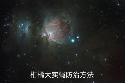 柑橘大實蠅防治方法