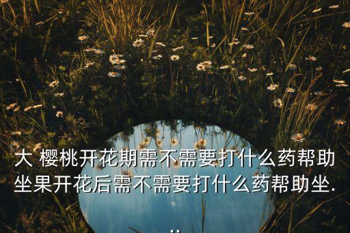 大 櫻桃開花期需不需要打什么藥幫助坐果開花后需不需要打什么藥幫助坐...