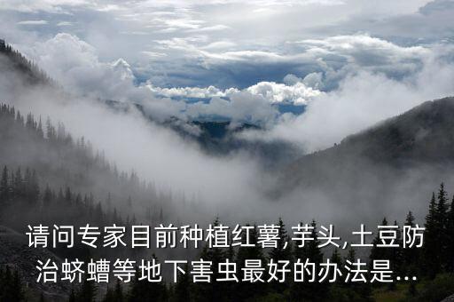 請問專家目前種植紅薯,芋頭,土豆防治蠐螬等地下害蟲最好的辦法是...