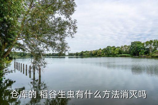 稻谷撒什么農藥防蟲,稻谷用什么藥可以防蟲