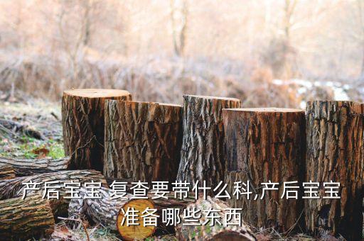 產(chǎn)后寶寶 復(fù)查要帶什么科,產(chǎn)后寶寶準(zhǔn)備哪些東西