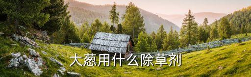 蔥一般噴灑什么農藥,噴灑農藥什么時間最好