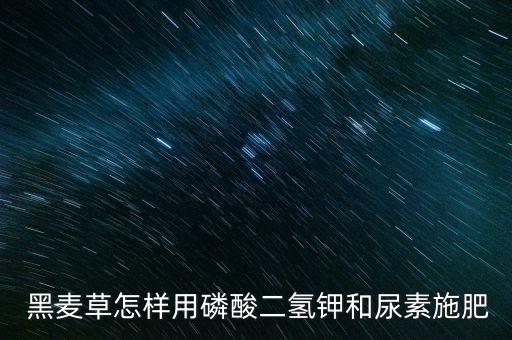 黑麥草用什么農藥除蟲,除蟲什么農藥最好