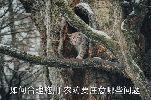 蔬菜打農藥什么時間好,打農藥需要什么