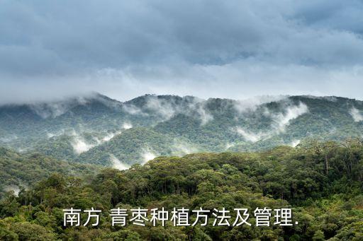 南方 青棗種植方法及管理.