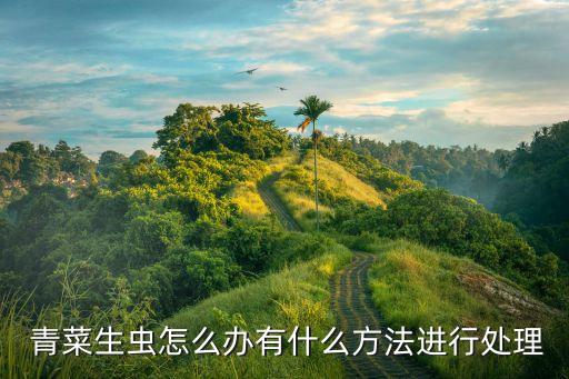  青菜生蟲怎么辦有什么方法進行處理