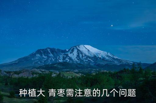 種植大 青棗需注意的幾個問題