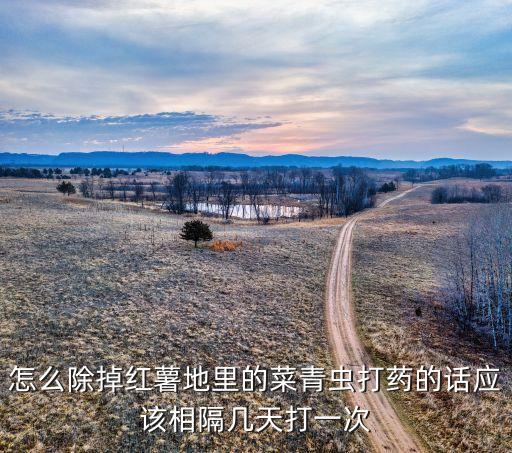 地瓜瘟疫用什么農藥,種地瓜用什么農藥