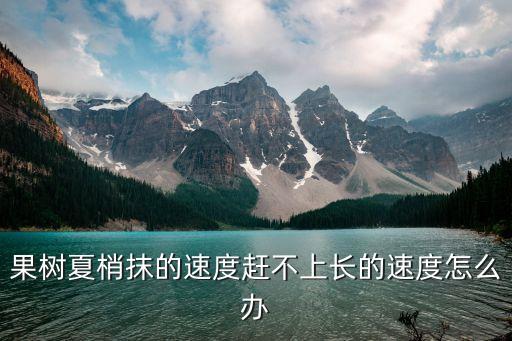果樹(shù)夏梢抹的速度趕不上長(zhǎng)的速度怎么辦