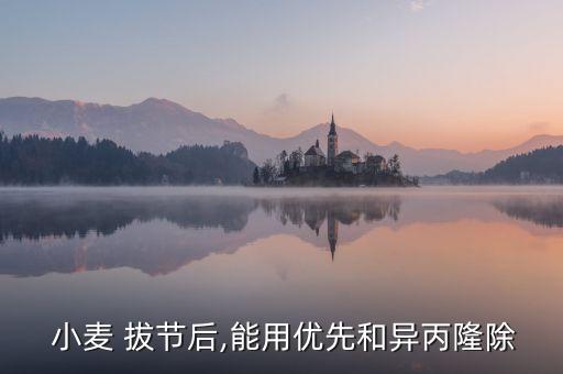  小麥 拔節后,能用優先和異丙隆除