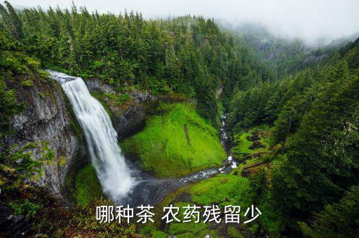 泡什么農藥少,葡萄用什么泡可以去農藥嗎