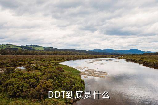 ddt是一種什么農藥