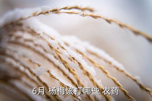 6月 楊梅該打哪些 農藥