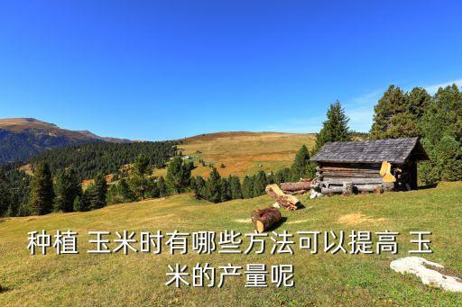 玉米打什么農(nóng)藥增產(chǎn)多,什么農(nóng)藥能讓玉米不結(jié)棒