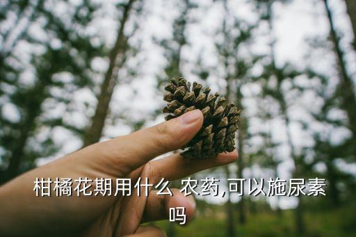 柑橘11月打什么農(nóng)藥,現(xiàn)在柑橘打什么藥