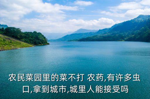 菜不打農藥有什么后果嗎