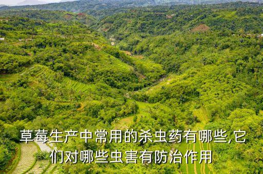 草莓成熟期用什么農藥,草莓打的什么農藥