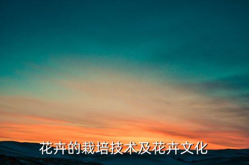 沒有農藥能養什么花草好