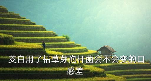  茭白用了枯草芽孢桿菌會不會變的口感差