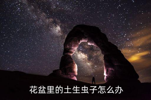 夏天花盆殺蟲打什么農藥,花盆里放什么可以殺蟲