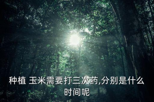 玉米生長時(shí)期打什么農(nóng)藥,玉米的生長過程需要什么條件