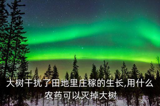 大樹干擾了田地里莊稼的生長,用什么 農藥可以滅掉大樹