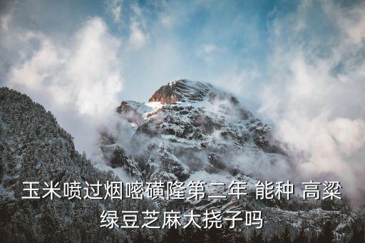 玉米噴過煙嘧磺隆第二年 能種 高粱綠豆芝麻大撓子嗎
