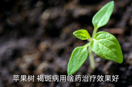 什么農(nóng)藥能防治褐斑病,褐斑病用什么農(nóng)藥