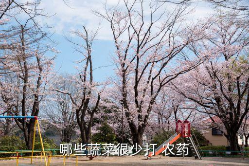 哪些蔬菜很少打 農(nóng)藥