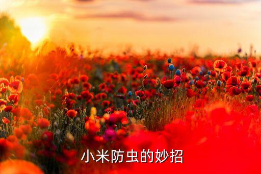 農藥為什么怕小米蟲吃掉,米蟲為什么怕陽光