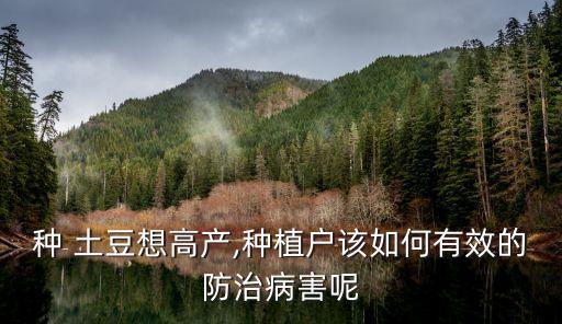 土豆用什么農(nóng)藥產(chǎn)量高,土豆什么時(shí)間種植產(chǎn)量高