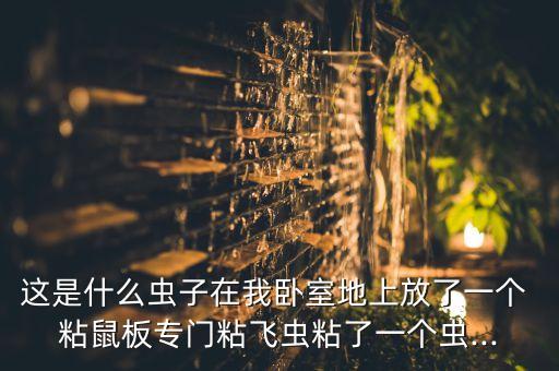 農藥粘鼠板屬什么科目