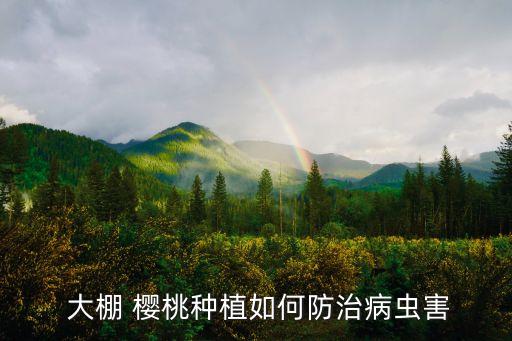  大棚 櫻桃種植如何防治病蟲害