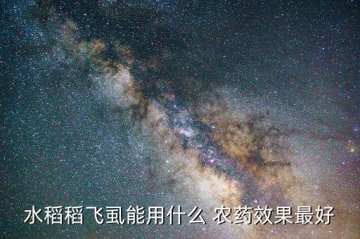 水稻稻飛虱能用什么 農(nóng)藥效果最好