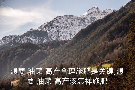 想要 油菜 高產合理施肥是關鍵,想要 油菜 高產該怎樣施肥
