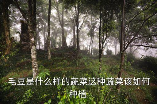  毛豆是什么樣的蔬菜這種蔬菜該如何種植