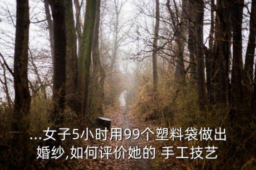 ...女子5小時(shí)用99個(gè)塑料袋做出婚紗,如何評價(jià)她的 手工技藝