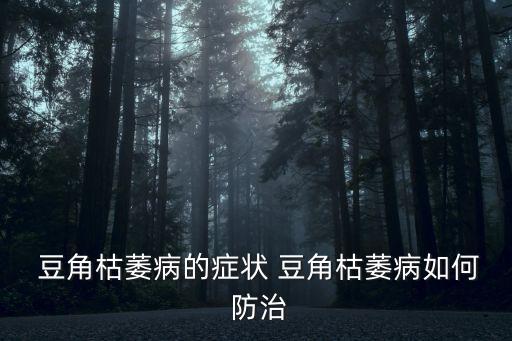 什么農(nóng)藥能防治豆角腐爛,防治豆角薊馬最好的農(nóng)藥