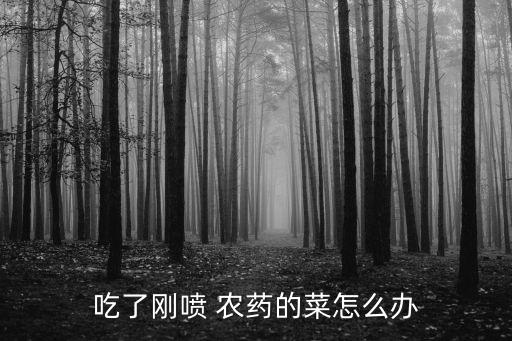 吃多農藥的菜有什么影響