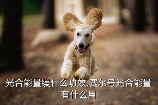 農藥光合能量鎂什么功效,賽爾號光合能量有什么用