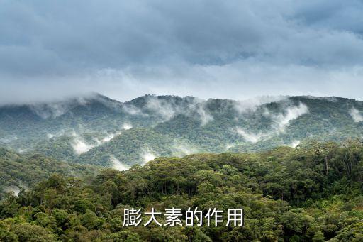 膨大打什么農藥,對果實有抑制膨大的農藥