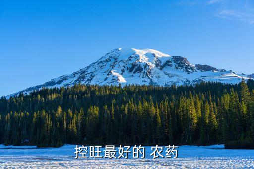超市打什么農藥好,西瓜一般打什么農藥
