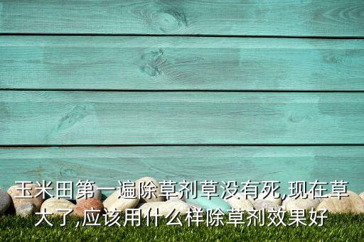 玉米田第一遍除草劑草沒有死,現(xiàn)在草大了,應(yīng)該用什么樣除草劑效果好