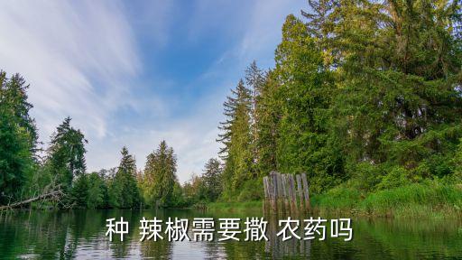 辣椒爛葉用什么農藥好,辣椒什么時間打農藥