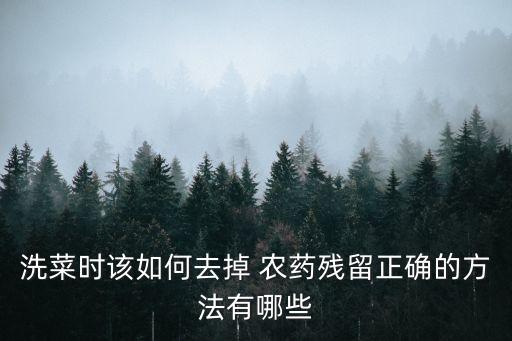 洗菜時該如何去掉 農(nóng)藥殘留正確的方法有哪些